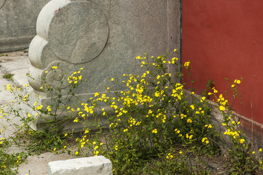 東方建筑古典文化景觀