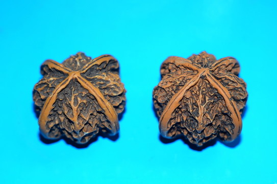 文玩核桃