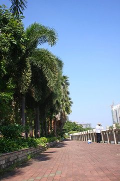 南橋風(fēng)景