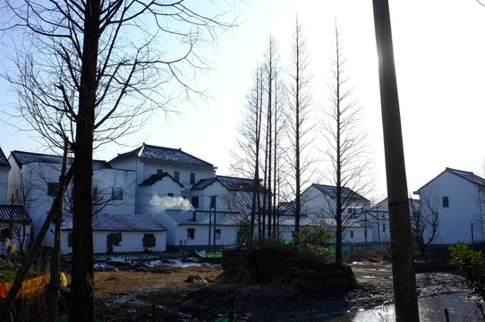 上海農(nóng)村