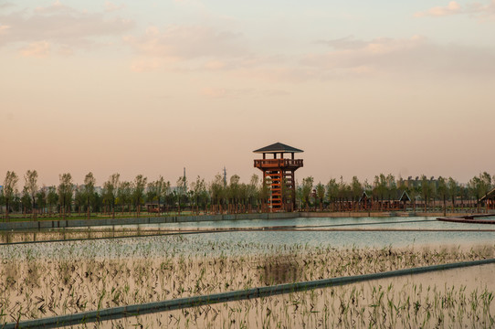 北京園博園觀水塔