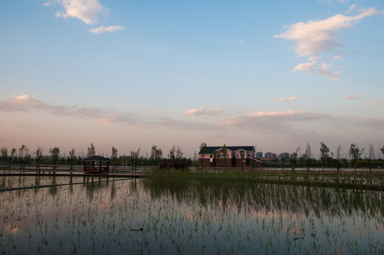 北京園博園功能濕地