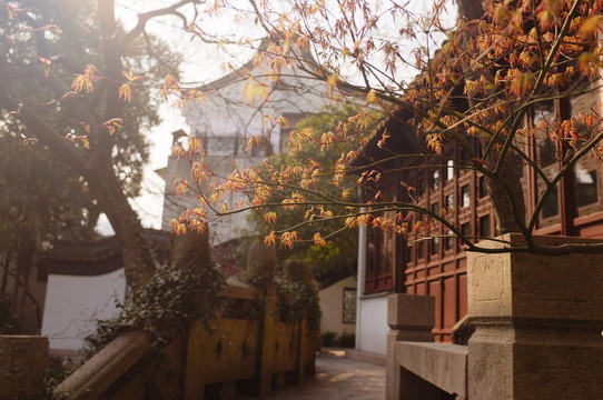 庭院深深