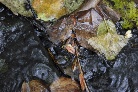 溪水