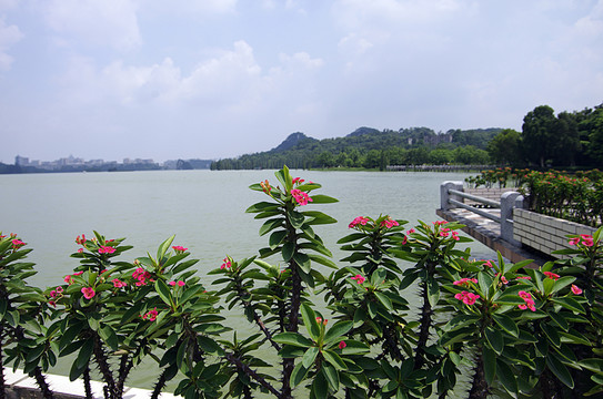 園林 湖