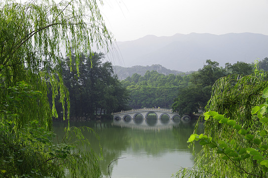 橋