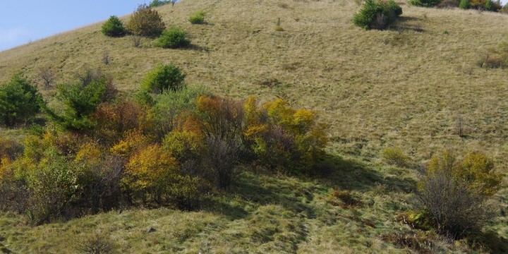 陜西安康神禾草原 草甸高山