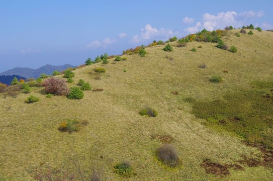 陜西安康嵐皋神禾草原 藍(lán)天草甸