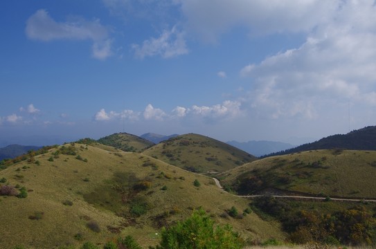 陜西安康嵐皋神禾草原