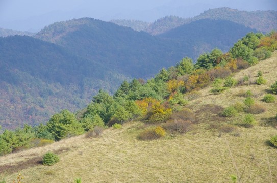 陜西安康嵐皋神禾草原