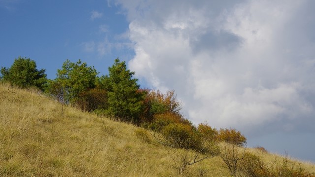 陜西安康嵐皋  神禾草原