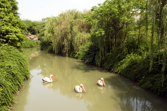 園林景觀