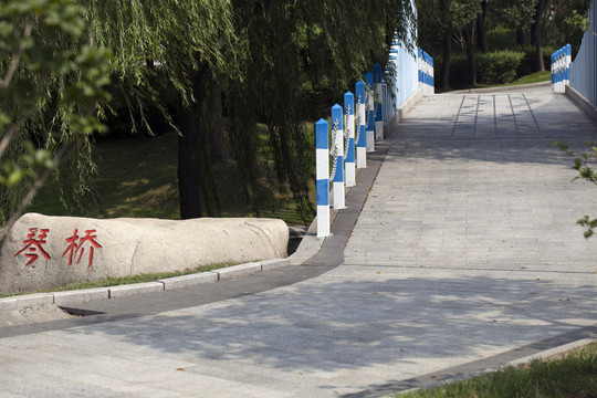 上海 東方綠舟 公園 道路