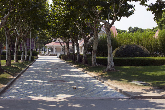 上海 東方綠舟 公園 道路