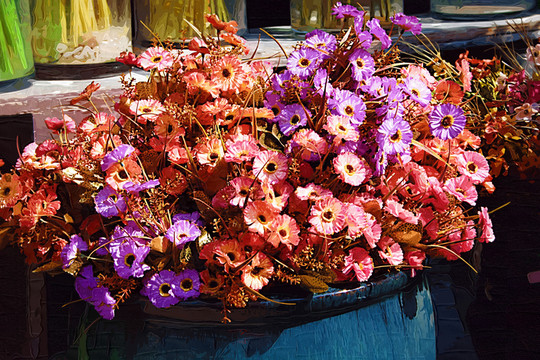 菊花