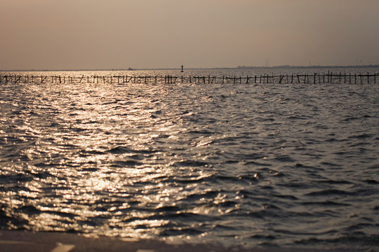 淀山湖 水面 公園 戶外 晴天