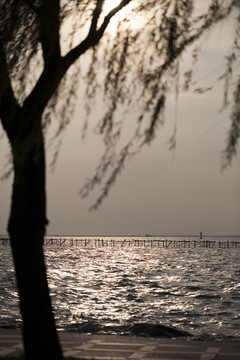 上海 東方綠舟 淀山湖 公園