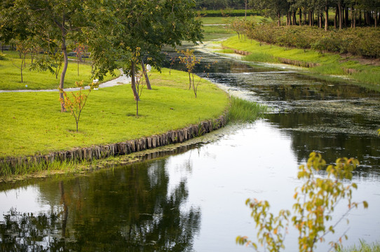 上海 東方綠舟 公園 草坪