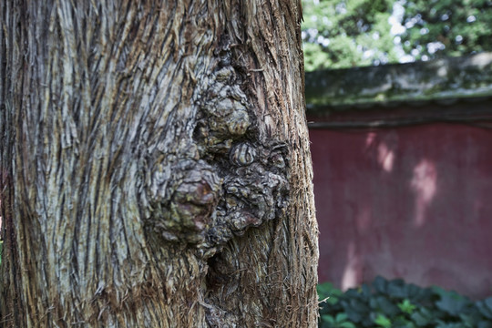 戒臺寺 寺廟建筑 北京 古跡
