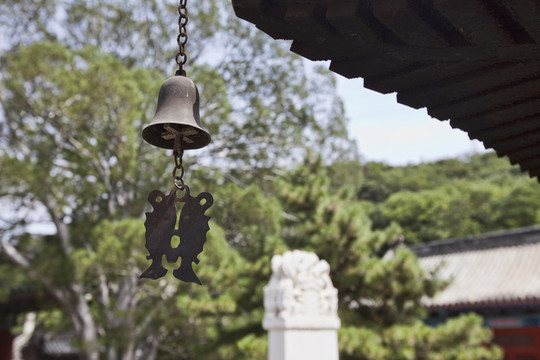 戒臺寺 寺廟建筑 北京 古跡