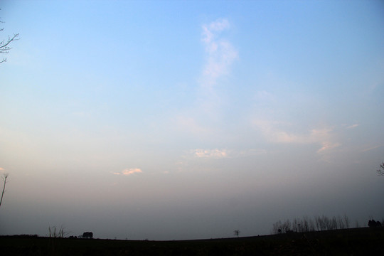 田野