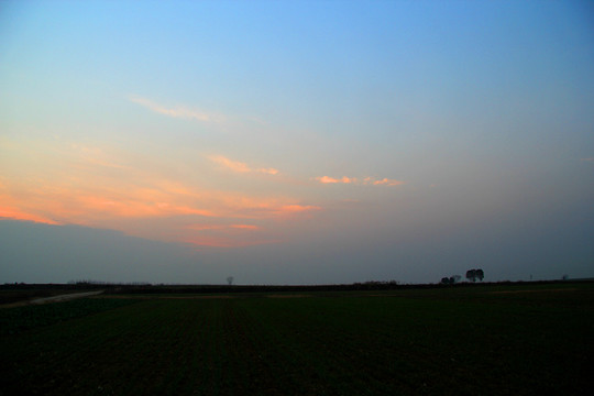 田野