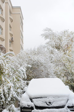 積雪  汽車