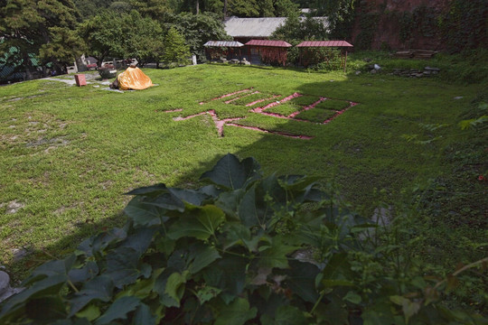 戒臺寺 寺廟建筑 北京 古跡
