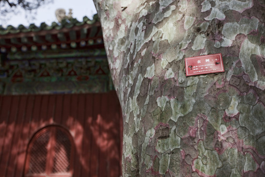 戒臺(tái)寺 寺廟建筑 北京 古跡