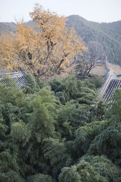 潭柘寺 寺廟建筑 北京 古跡