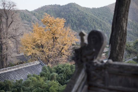 潭柘寺 寺廟建筑 北京 古跡