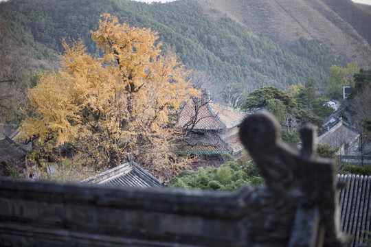 潭柘寺 寺廟建筑 北京 古跡