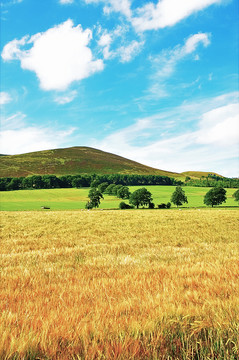 英國(guó)風(fēng)景（非高清）