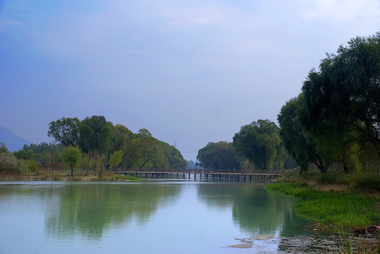 濕地公園