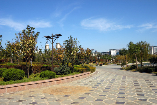 景觀園林