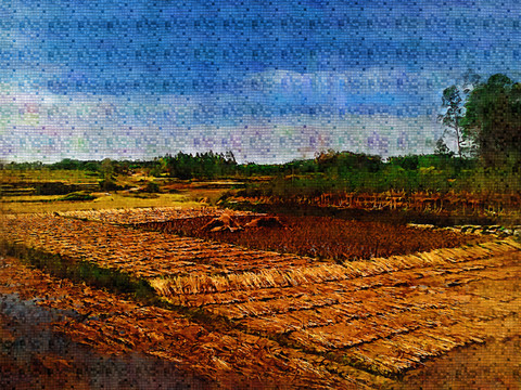 田野風(fēng)景