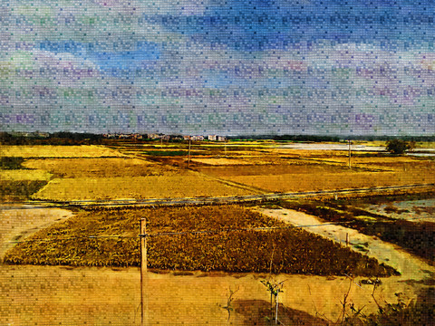 田野風(fēng)光
