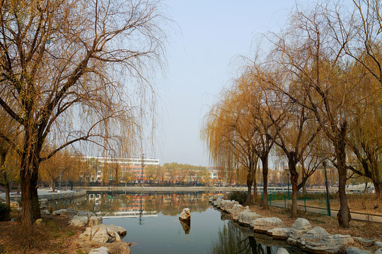 公園 園林