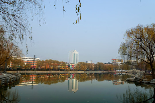 公園