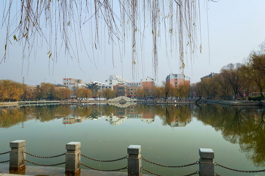 公園