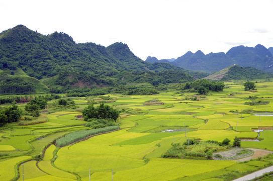 田園風(fēng)光
