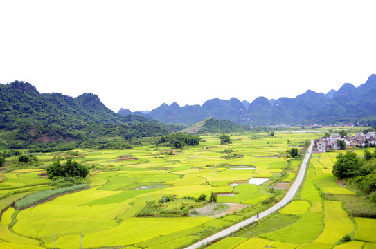 田園風(fēng)光