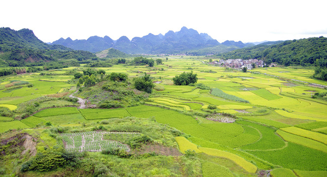 田園風(fēng)光