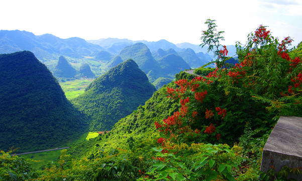 青山