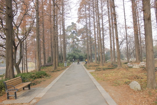 小路