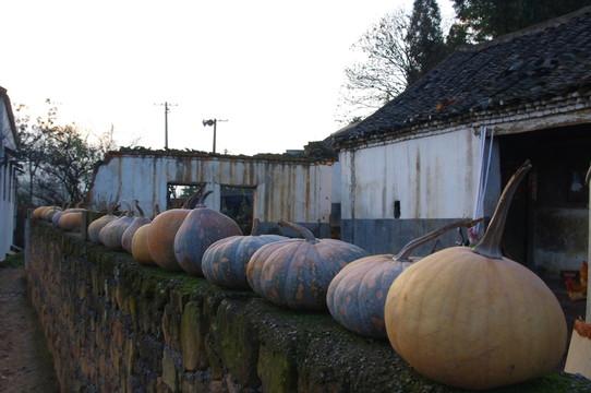 農村