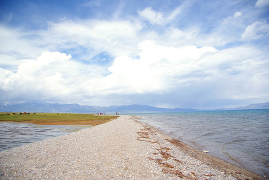 賽里木湖湖畔