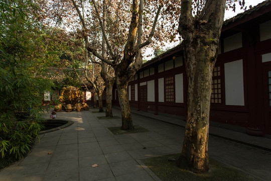 成都望江樓公園古建筑