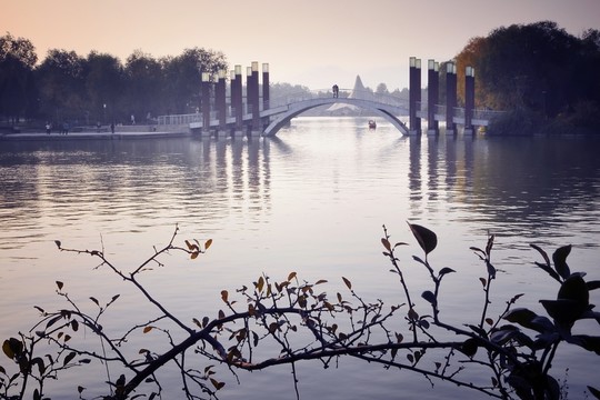 橋
