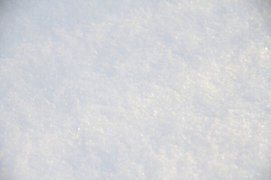 雪地